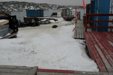 Fur Seal on Palmer Station, Antarctica