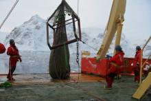 Trawling in Antarctica