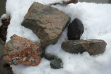 Rock samples from Flanders Bay, Antarctica