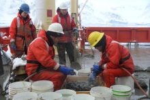 Dr. Craig Smith and David Honig sifting through the trawl catch