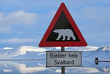 Polar Bear Warning Sign