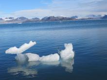 Icebergs are beautiful