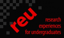 Research Experience for Undergraduates