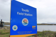 Toolik sign