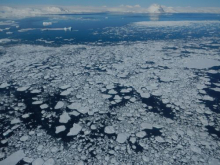 Sea ice