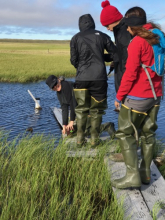 Water sampling at the IBP