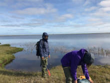 Collecting at Cake Eater Lake