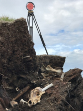 LIDAR and a caribou