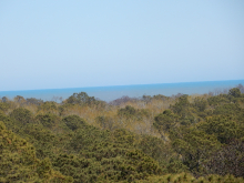 View from Assateague Lighthouse.