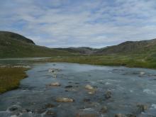 Upstream of the flow rate measurements