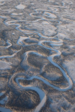 Wild Alaskan Rivers