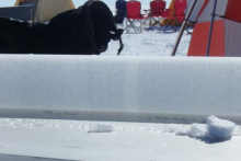 Ice Core Sample with Melt Layer