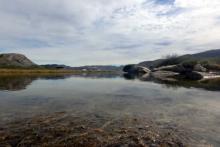 Looking Out at Lake Ferguson