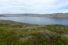 Overlooking Lake Ferguson