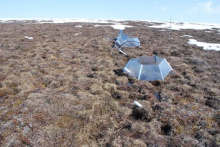 Tussock tundra on study plot; note the tussocks of vegetation with low areas