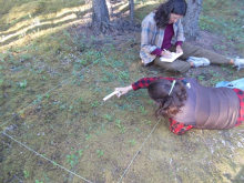 Measuring plant height in a phenology plot