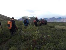 Our group hiking in the Denali Wilderness