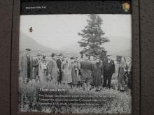 Interpretive sign comparing growth of a spruce tree near Savage River Campground