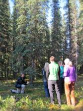 Demonstrating phenology plot setup