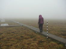 Carolyn Livensperger on the boardwalk at the Snowmelt Project plots at Imnaviat,