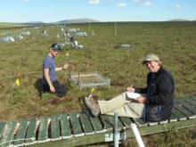 Alex Krichels, REU student, at the point frame and Susan Steiner, PolarTREC teac