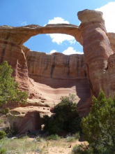 Rattlesnake Canyon arch