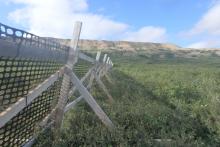 Snowfence at Sagwon