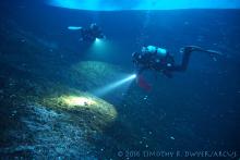 divers searching