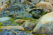 Mud at edge of lake