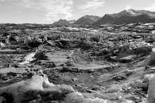 Sea ice at New Harbor