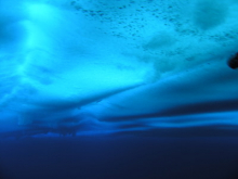 Looking up at bottom of the ice.