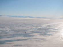 Cars on the Sea Ice