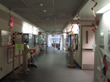 The hallway in the Crary Lab