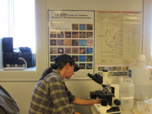 Microscopes at the McMurdo Waste Water Treatment Plant