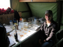 Beverly studies brittle stars. 