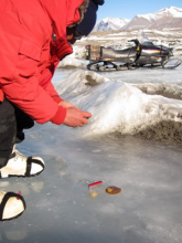 Paul taking pictures of critters that the divers have brought back for him.