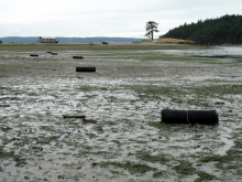 rolls of the netting we were about to roll out.