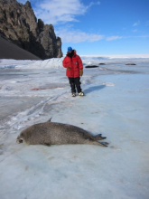 Tina and a seal