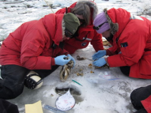 Kevin is trying to find the otolith.  