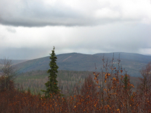 Gentle hills full of trees