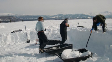 Snow Shoveling