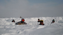 Snow Removal from Walkways