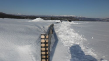 Fence at Plot B CiPEHR