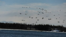 Floating the Delta Clearwater