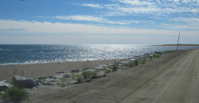 A sparkly view of the Bering Sea