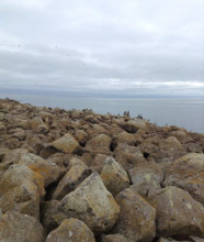 Rocky clifftops