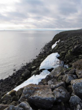 Snowy cliffs