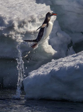 Jump for joy!