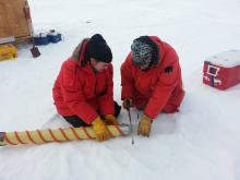 Ice core