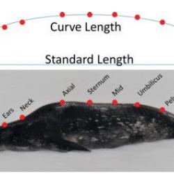 Location of specific measurment points